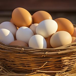 Farm Fresh Eggs